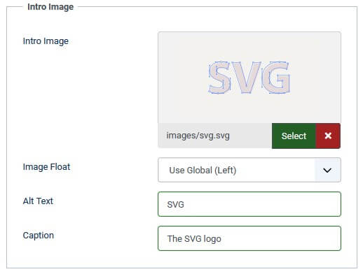 An article's intro image