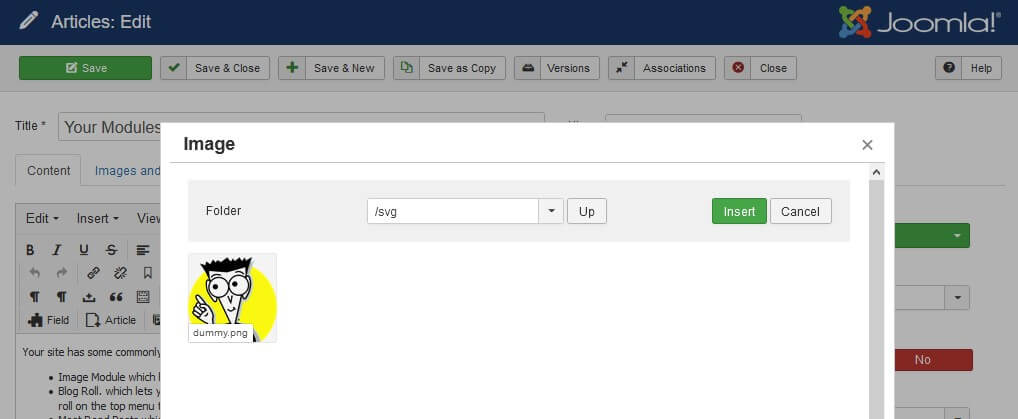 Inserting a SVG image